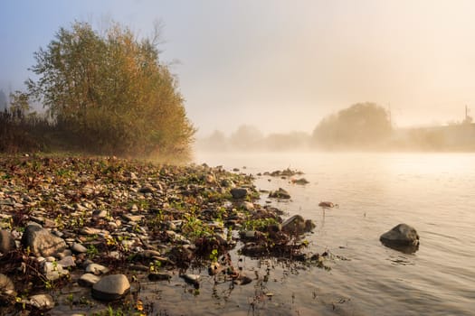 Foggy morning on the river pebble beach with bushes. horizontal