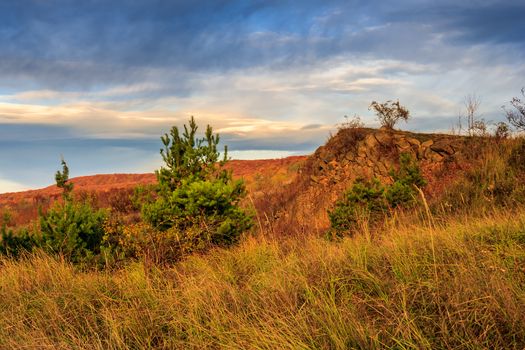 autumn landscape. coniferous trees in the ravine of yellowed autumn grass near a rocky hill