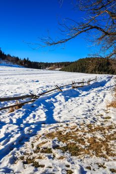 fence along a snow-covered mountain slope near the forest fell on its side