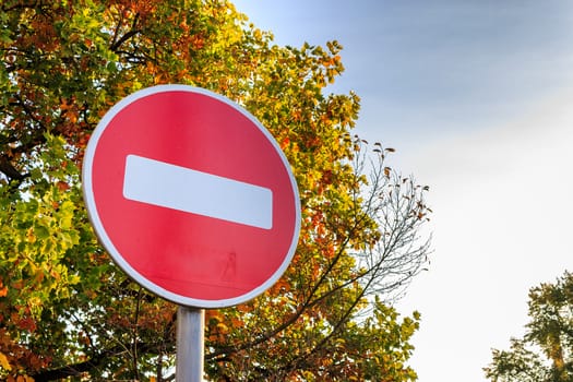 traffic stop sign on a background of yellowed autumn tree. message: stop the fall, I want summer