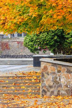 steps under a tree in the town square covered with foliage