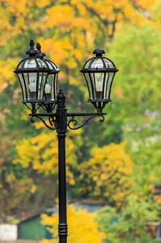 lantern in a city park close-up on a background of autumn leaves