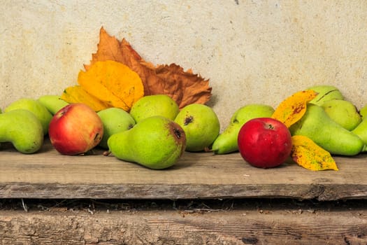 autumnal fruit still life with apples, pears, grapes  leaves on wooden base