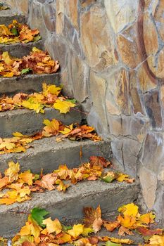 steps under a tree in the town square covered with foliage