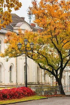 urban landscape. street of the old town is wet after rain, with yellowed trees, red ivy on the wall and street lamps