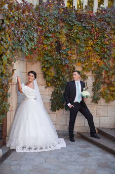 Stylish newlyweds posing on a photo shoot against the backdrop of a brick wall