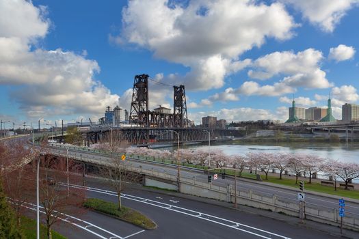 Cherry Blossom Trees along waterfront park by Steel Bridge in downtown Portland Oregon in Springtime
