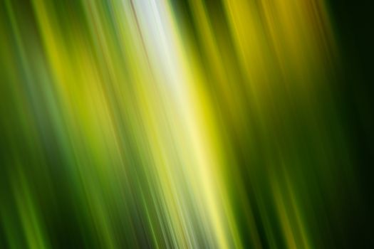 abstract background Spring fresh blurred background