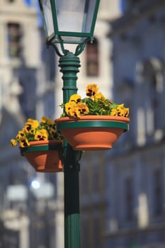 Typical metal street lamp at Mafra (Portugal)