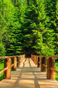 vertical wooden bridge in the morning sun disappearing into the depths of coniferous forest