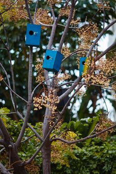 Many colorful bird houses on the tree