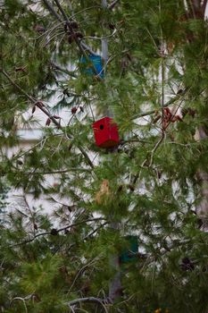 Many colorful bird houses on the tree