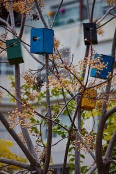 Many colorful bird houses on the tree