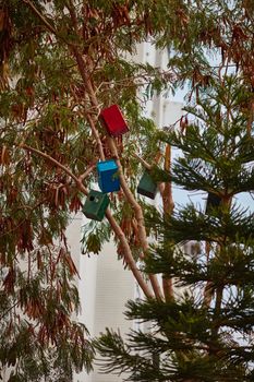 Many colorful bird houses on the tree