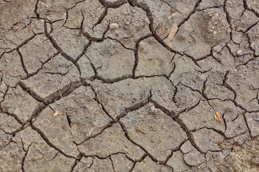 Cracked and dry mud