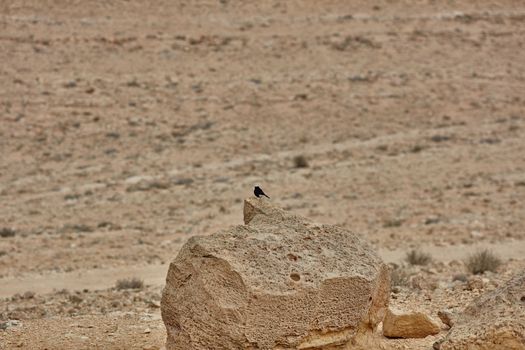 A mountain view in the Negev desert, Israel