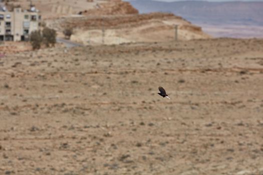 A mountain view in the Negev desert, Israel