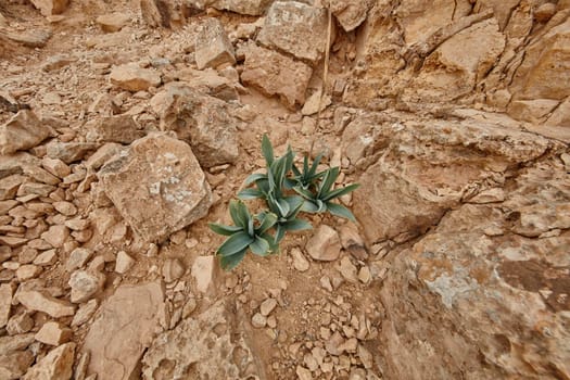 Maktesh Ramon place in the Negev desert, Israel