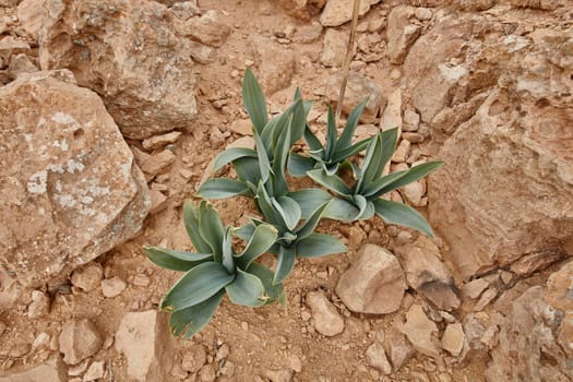 Maktesh Ramon place in the Negev desert, Israel