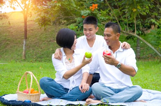 Asian Chinese Family Relaxing at outdoor park 