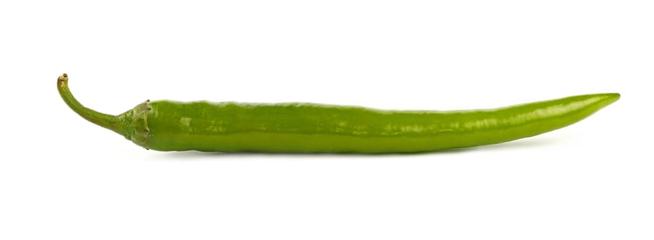 One fresh long green jalapeno chili pepper isolated on white background, close up, side low angle view
