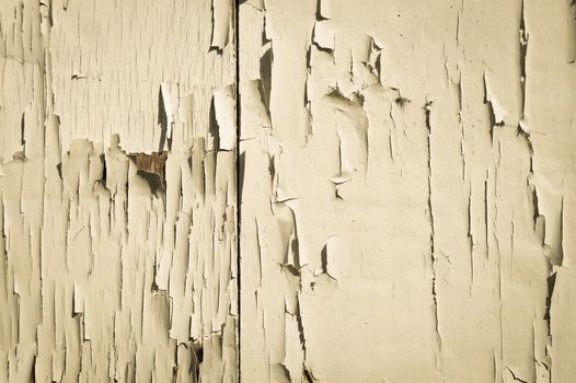 background texture white wall with cracked paint