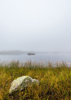 Grass with Rock on the Lake Shore in the Fog