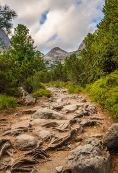 Rocky Hiking Trail in the Mountains with Mountain Peak on Cloudy Day. Mlynicka Valley, High Tatra, Slovakia.