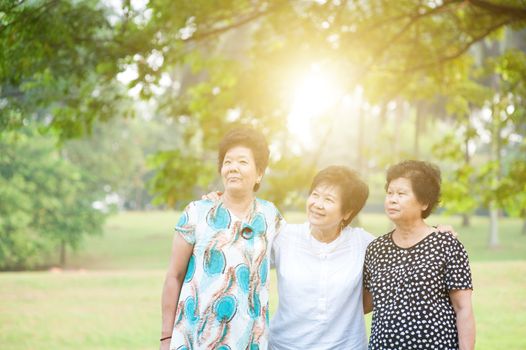 Group of Asian senior adult women having fun at green park, elderly outdoors activity, friendship concept, morning sun flare background.