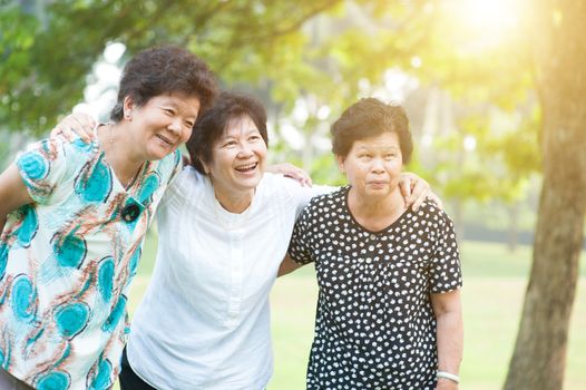 Group of happy Asian elderly women having fun at green park, active senior adult outdoors, friendship concept, morning sun flare background.