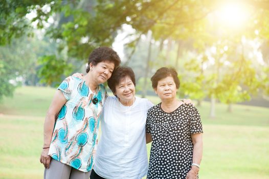 Group of Asian elderly women having fun at green park, active senior adult outdoors, friendship concept, morning sun flare background.