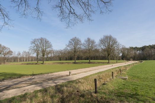 The characteristic half-open farmlands in the Achterhoek near Winterswijk in the Netherlands
