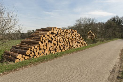Sawn trunks stacked on the side of the road with warning icons against ascend in the Netherlands
