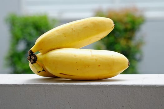 Banana isolated on fence in garden