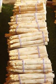 Fresh French Aspargus on a Market Stall