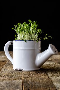 Crop flower in pots on an old wooden table