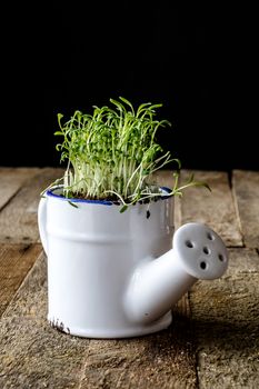 Crop flower in pots on an old wooden table