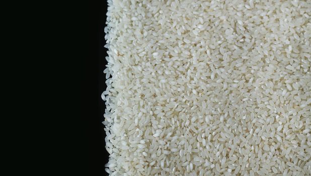 Pile of rice or wholegrain spill right on black background. Agriculture food raw seed. Closeup macro photo