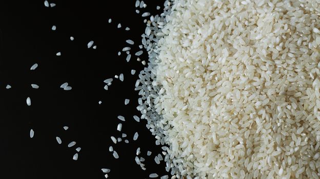 Pile of rice spill right on black background. Agriculture food raw seed. Closeup macro photo