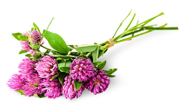 Bouquet of clover tied with rope isolated on white background