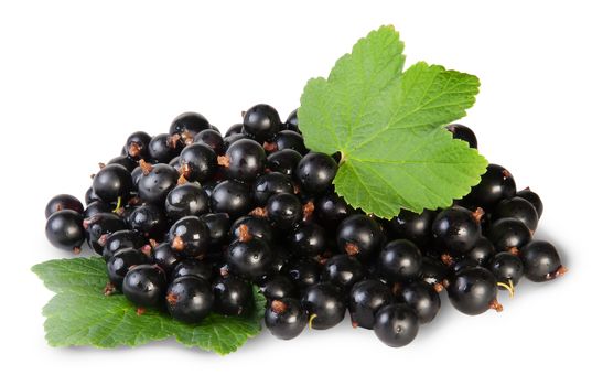 Bunch Of Black Currant With Two Leafs On White Background