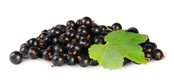 Bunch Of Black Currant With Leaf Isolated On White Background