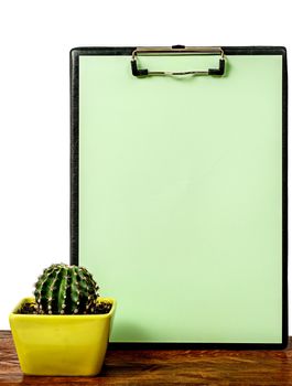 Cactus on the desk near the greenish board isolated on white background