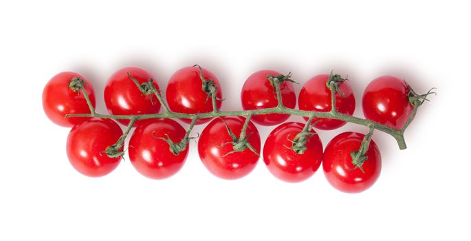 Cherry tomatoes on the stem top view isolated on white background