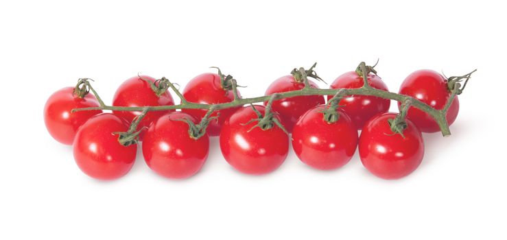 Cherry tomatoes on the stem isolated on white background