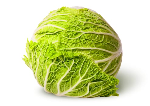 Chinese cabbage top view isolated on white background