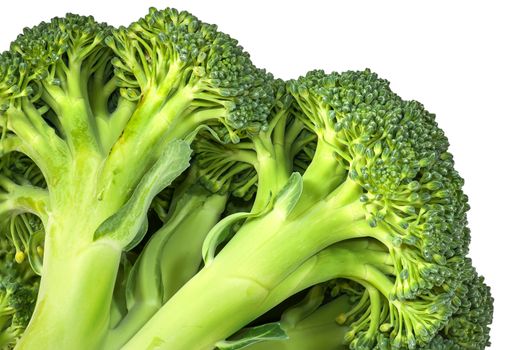 Closeup inflorescence of fresh broccoli isolated on white background