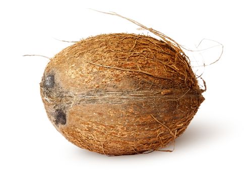 Coconut lying horizontally isolated on white background