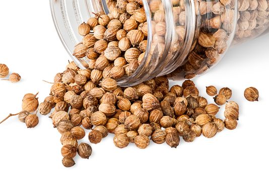 Coriander seeds are poured out from a jar isolated on white background