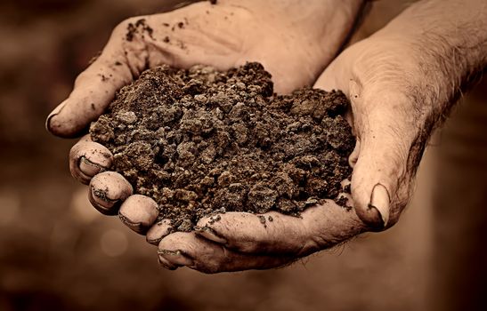 Dramatic photo of an elderly man holding soil in hands
